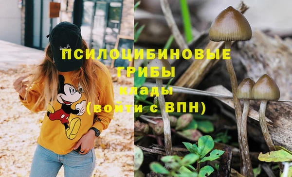 сатива Алапаевск
