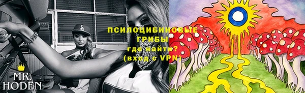 2c-b Гусев