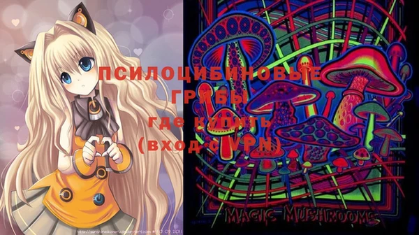 mdma Дмитриев
