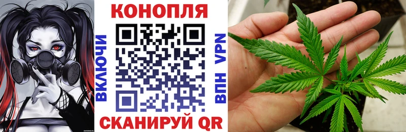 Канабис индика  Лысково 